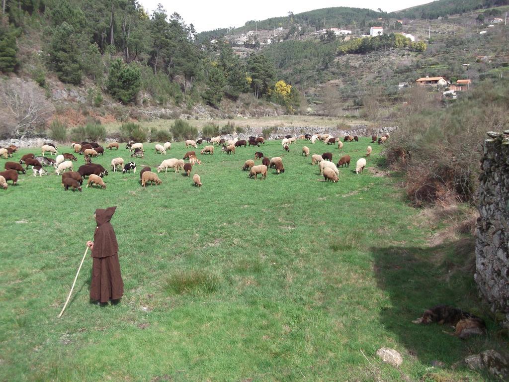 Cortes do Meio Casa Do Adro - Serra Da Estrela מראה חיצוני תמונה